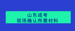 2021山东省成考现场确认所需材料