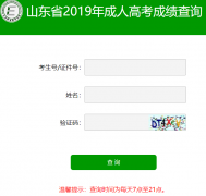 2019山东省成人高考成绩查询入口