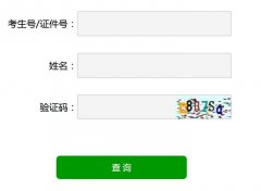 2019年山东省成人高考成绩查询网站