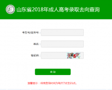 山东省2018年成人高考录取查询