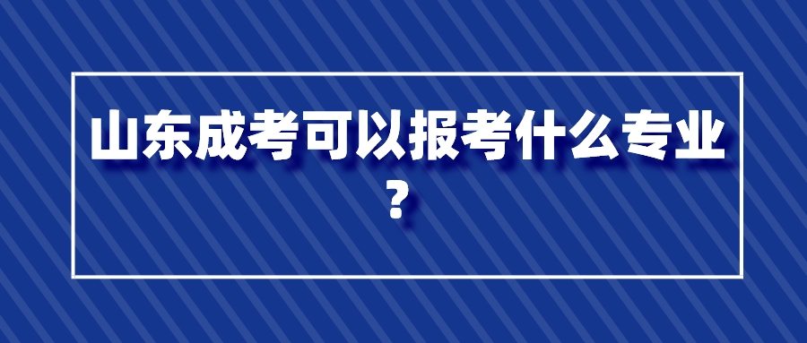 山东成考可以报考什么专业？(图1)