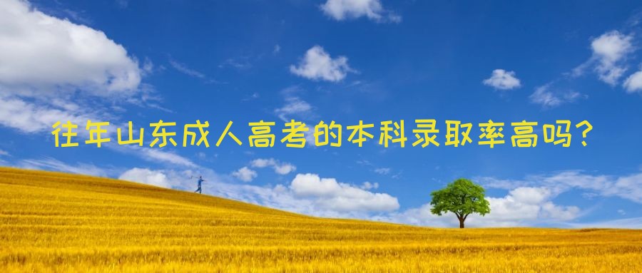 往年山东成人高考的本科录取率高吗？(图1)