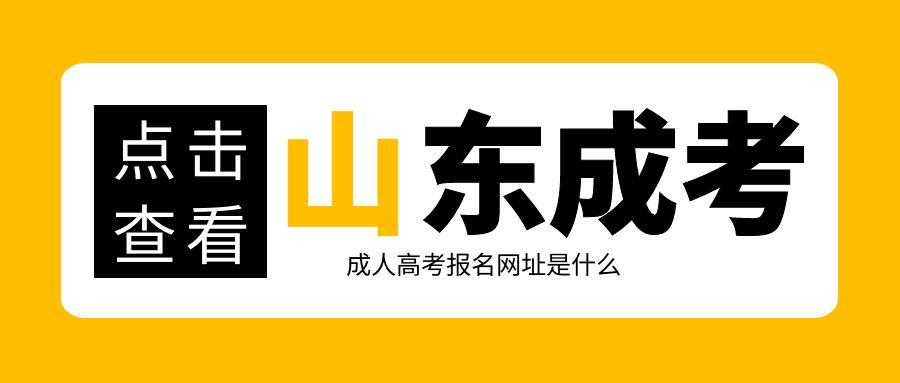 报名2023年山东成人高考报名网址是什么