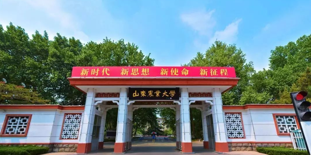 2023年山东农业大学成人高考报名条件(图1)