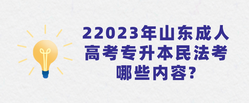 2023年山东成人高考专升本民法考哪些内容?