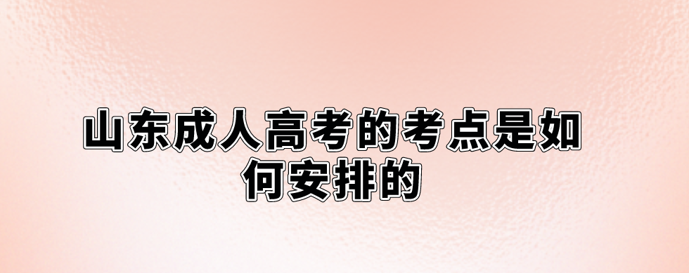 山东成人高考的考点是如何安排的