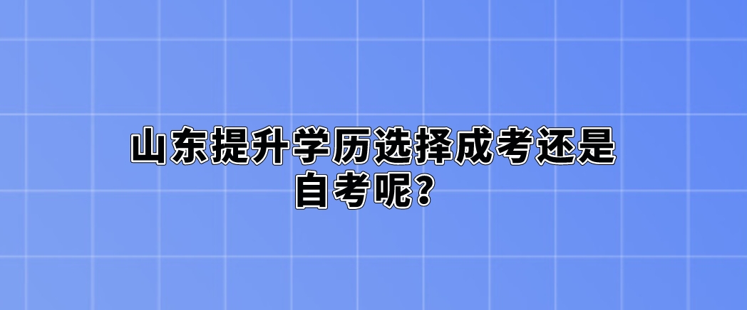 山东提升学历选择成考还是自考呢？(图1)