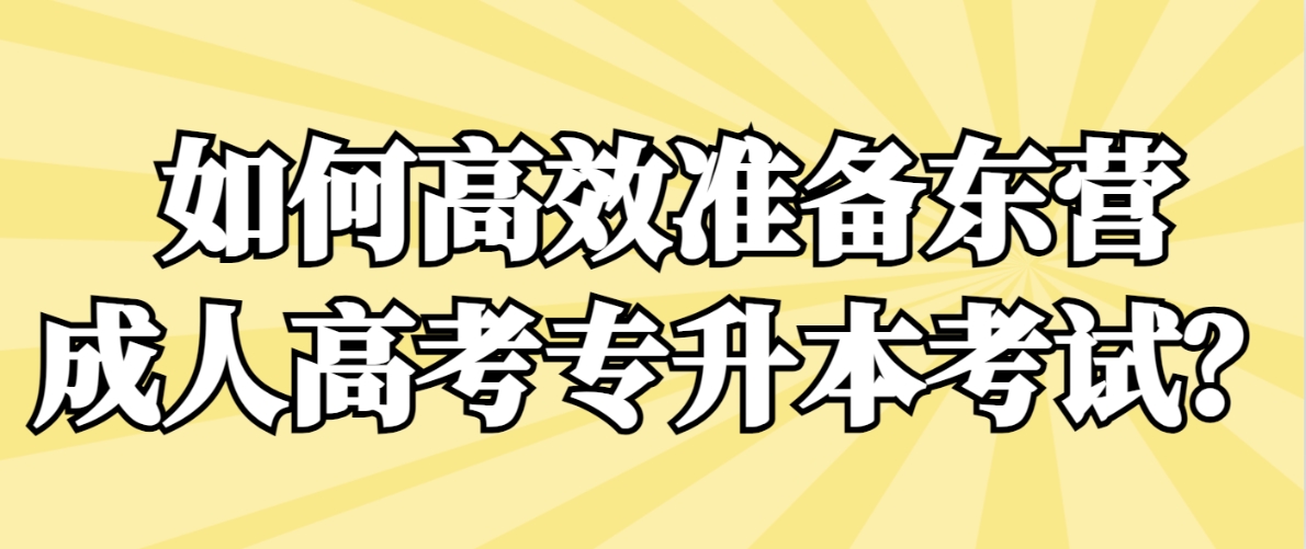 如何高效准备东营成人高考专升本考试？(图1)