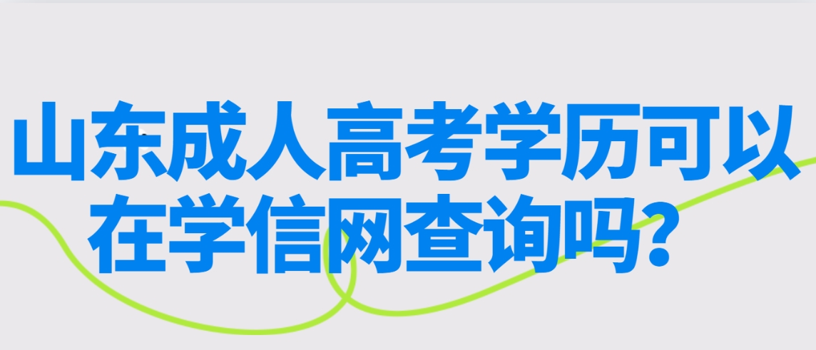 山东成人高考学历可以在学信网查询吗？(图1)