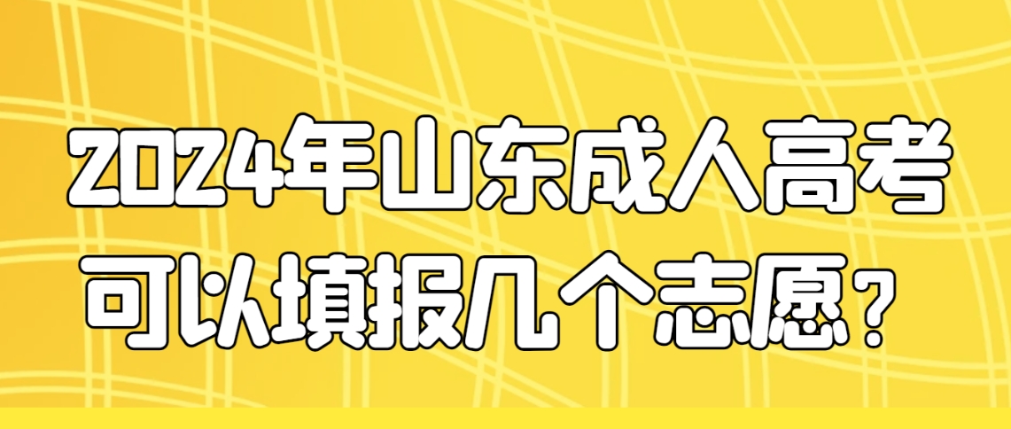 2024年山东成人高考可以填报几个志愿？(图1)