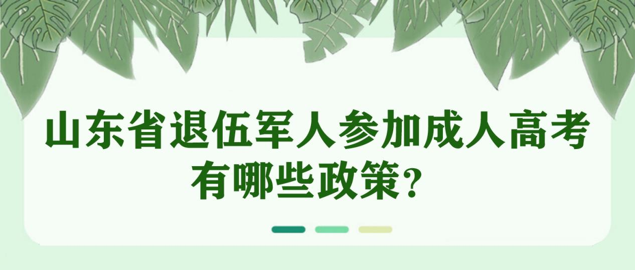 山东省退伍军人参加成人高考有哪些政策(图1)