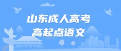 2021年山东省成人高考高起点语文修辞手法讲解